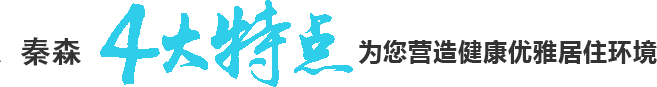 秦森4大特點(diǎn) 秦森4大特點(diǎn)